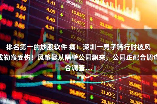 排名第一的炒股软件 痛！深圳一男子骑行时被风筝线勒喉受伤！风筝疑从隔壁公园飘来，公园正配合调查…