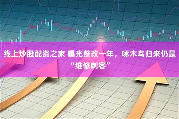 线上炒股配资之家 曝光整改一年，啄木鸟归来仍是“维修刺客”