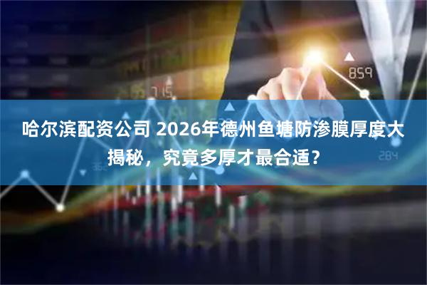 哈尔滨配资公司 2026年德州鱼塘防渗膜厚度大揭秘，究竟多厚才最合适？