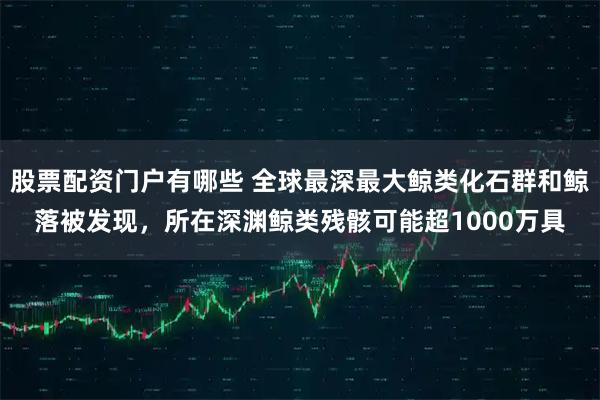 股票配资门户有哪些 全球最深最大鲸类化石群和鲸落被发现，所在深渊鲸类残骸可能超1000万具