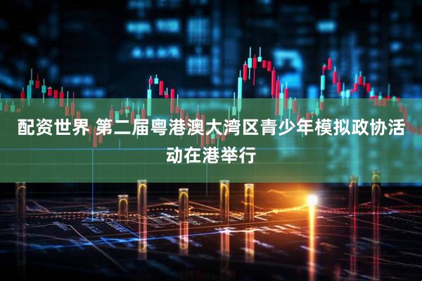 配资世界 第二届粤港澳大湾区青少年模拟政协活动在港举行