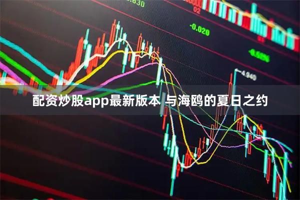 配资炒股app最新版本 与海鸥的夏日之约